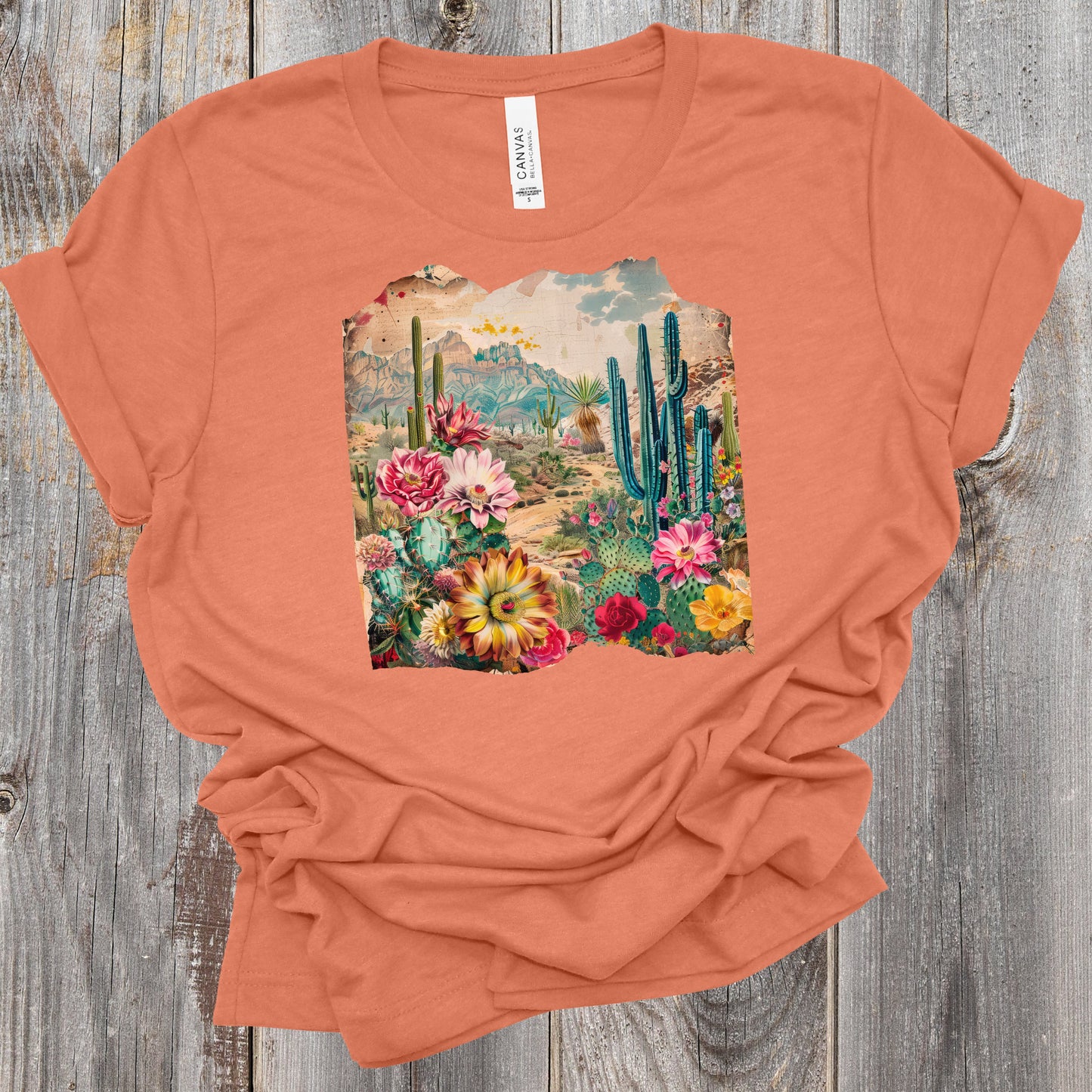 Colorful Desert
