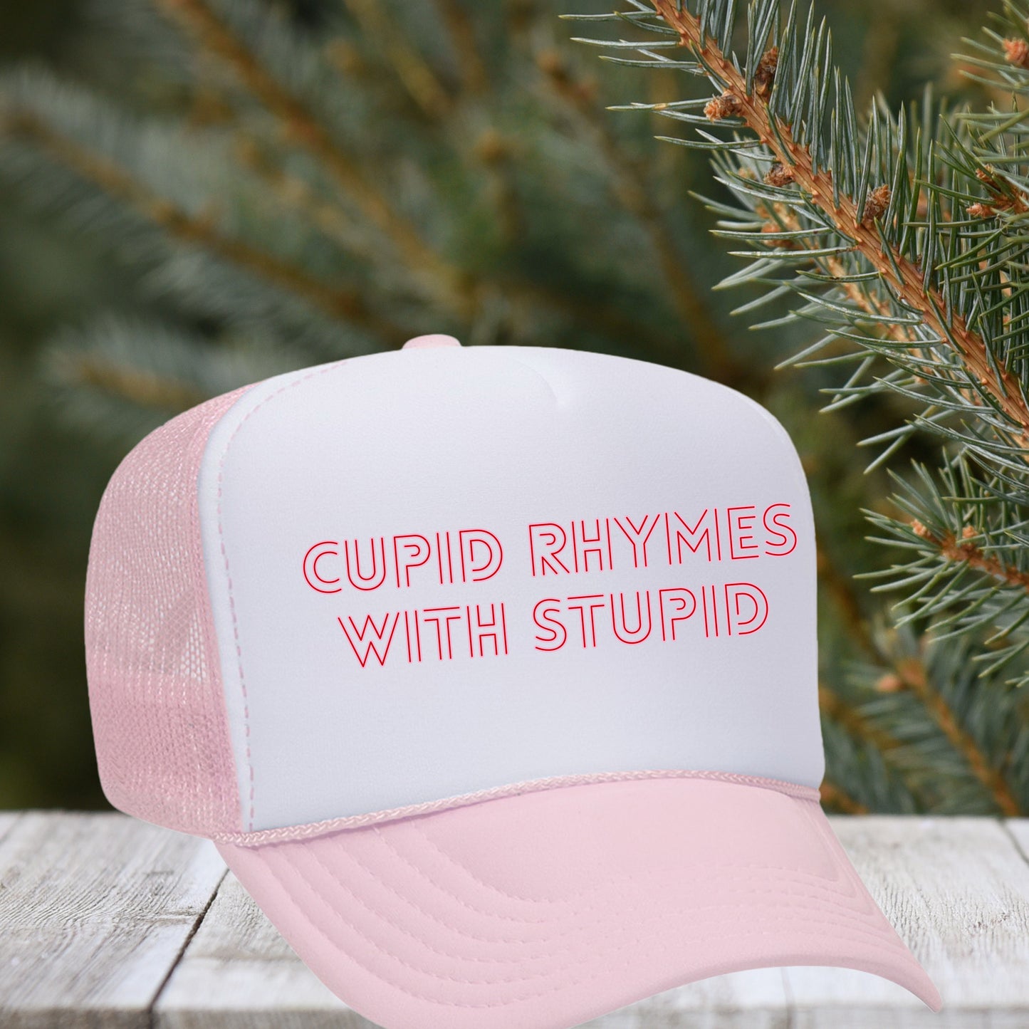 Cupid Rhymes With Stupid
