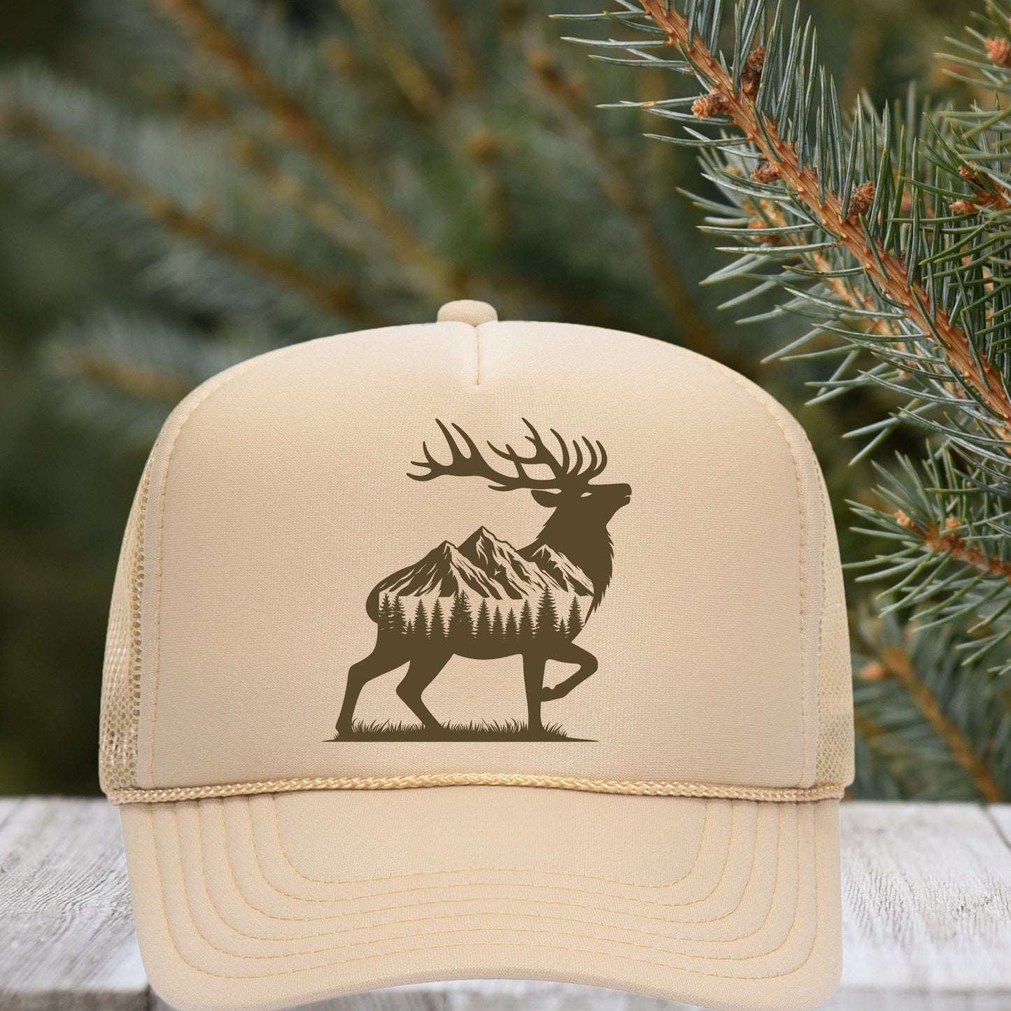 Scenic Elk