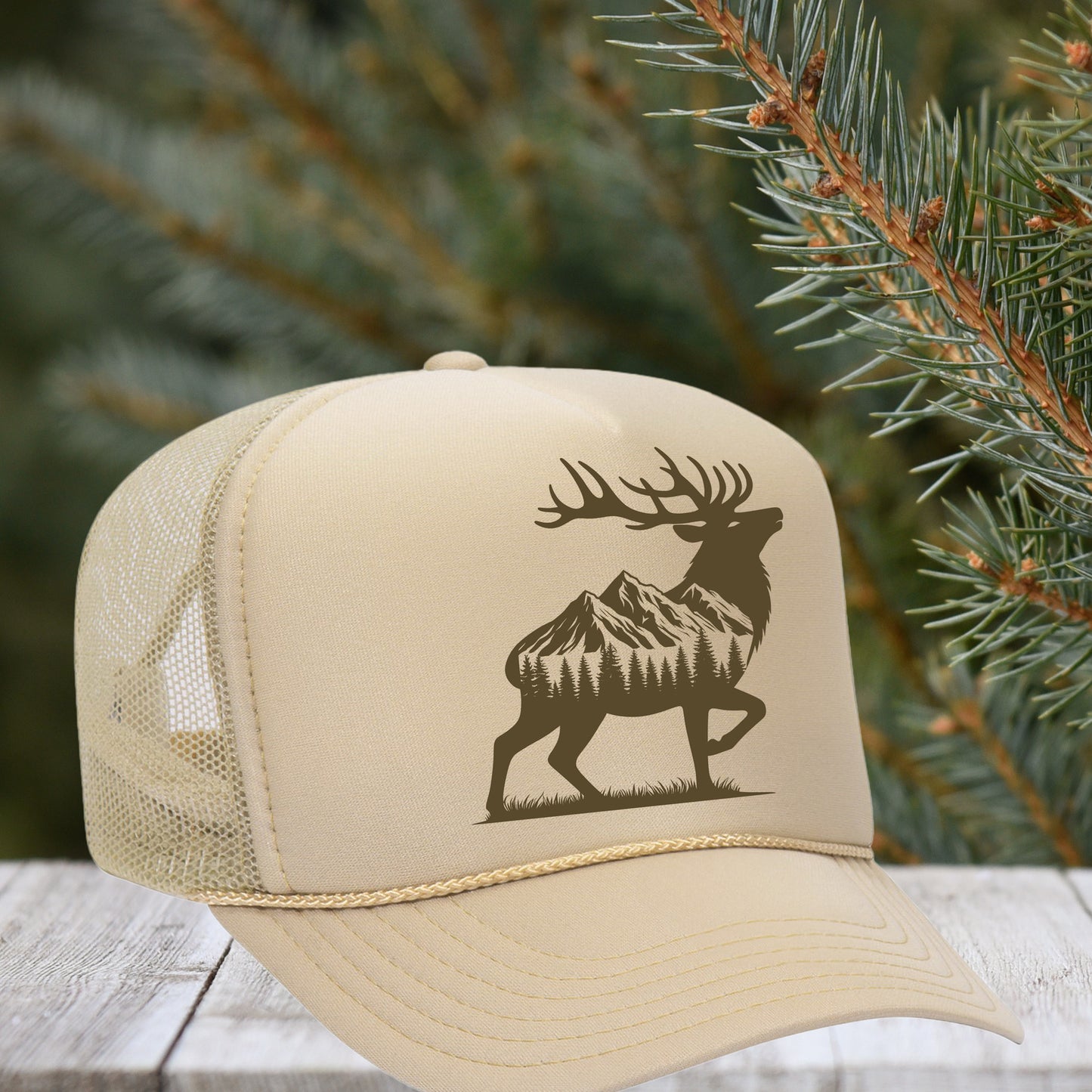 Scenic Elk