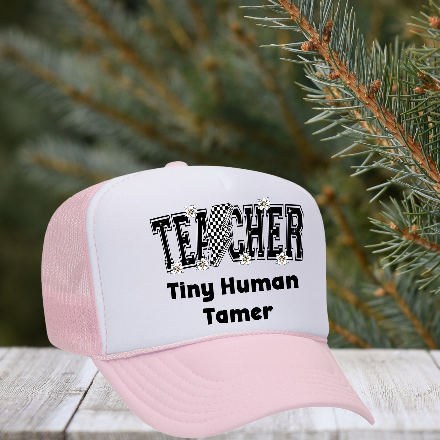 Teacher: Tiny Human Tamer